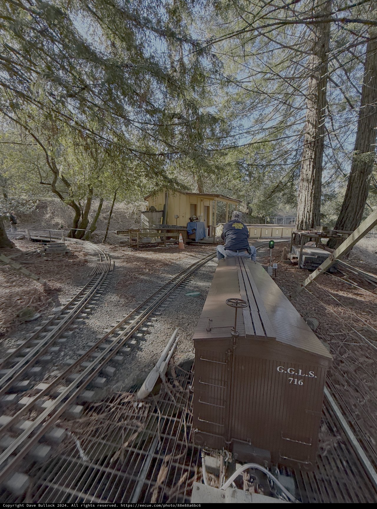Vintage Railway Locomotive in Motion Through Forest