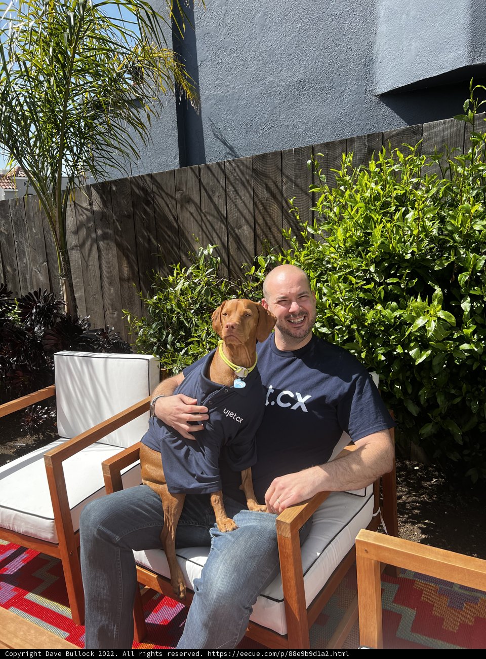 Man and Dog on the Backyard Chair