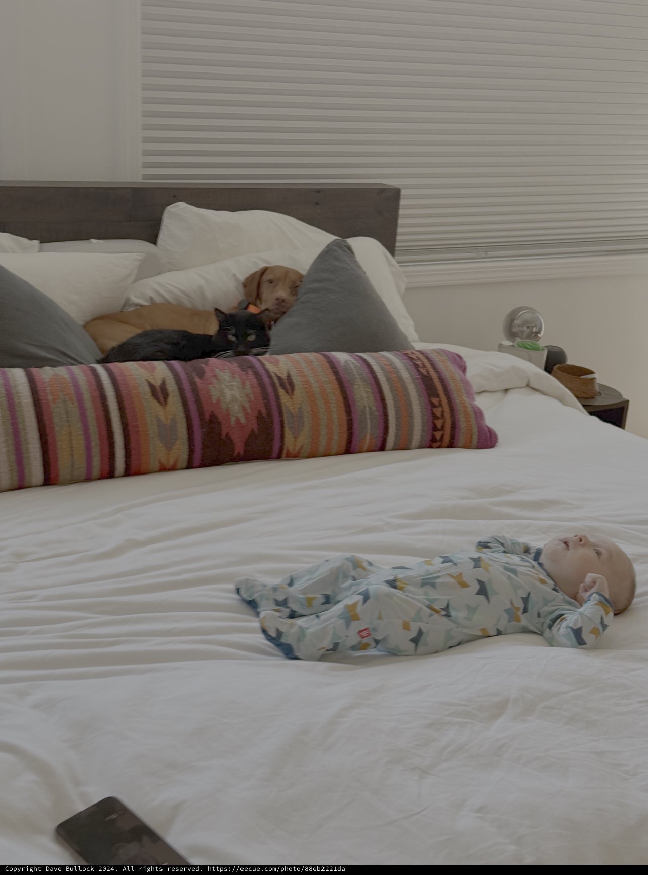 Peaceful Family Bedroom Scene with Pets and Baby