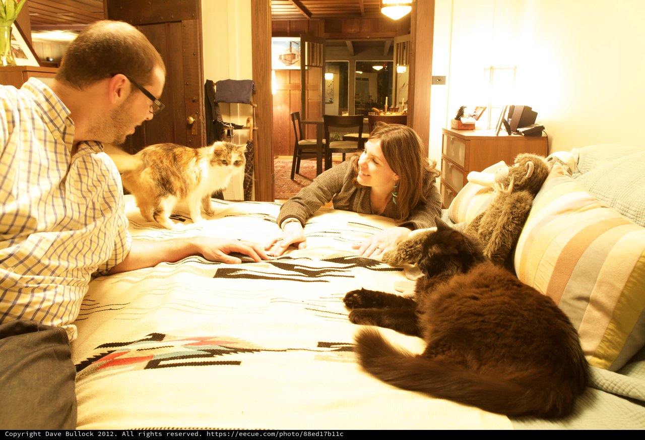 Couple Relaxing on Bed with Three Cats