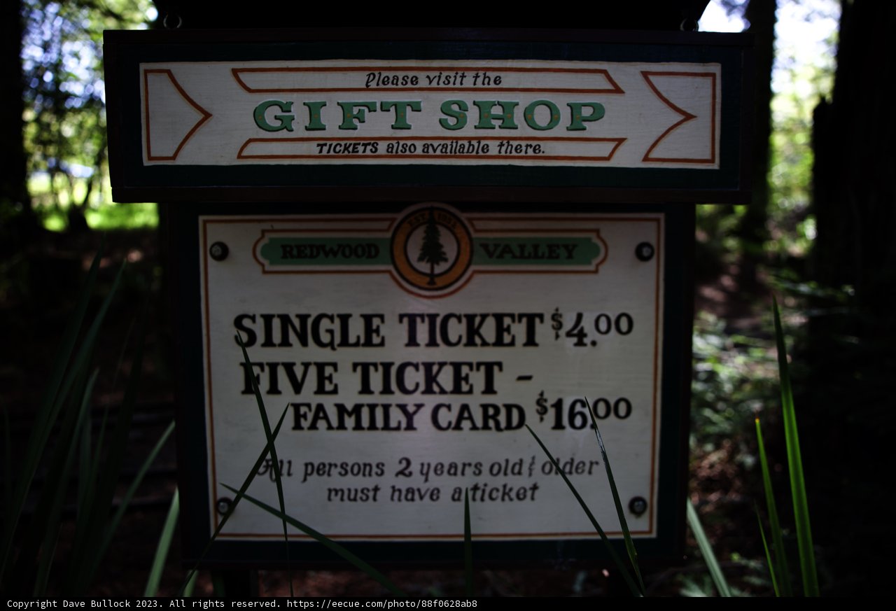 Enchanting Gift Shop in the Woods