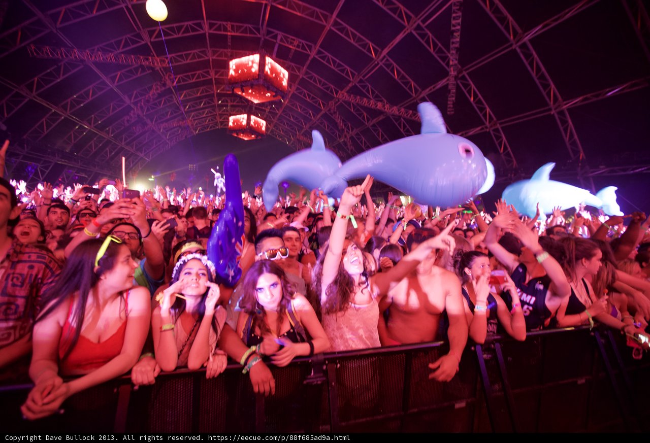 Blue Whale Joins Crowd at Coachella Concert