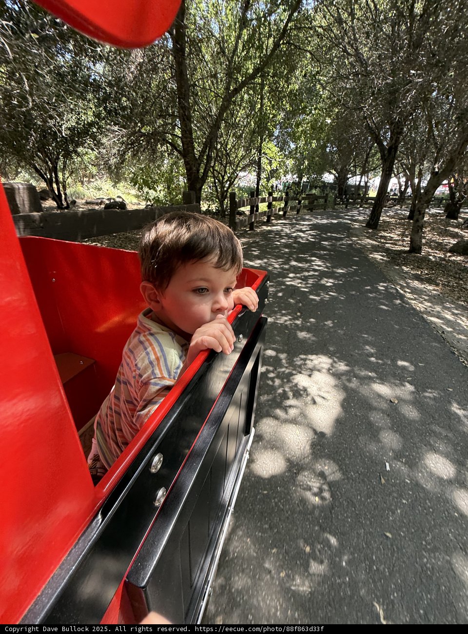 Joyride Through the Grove
