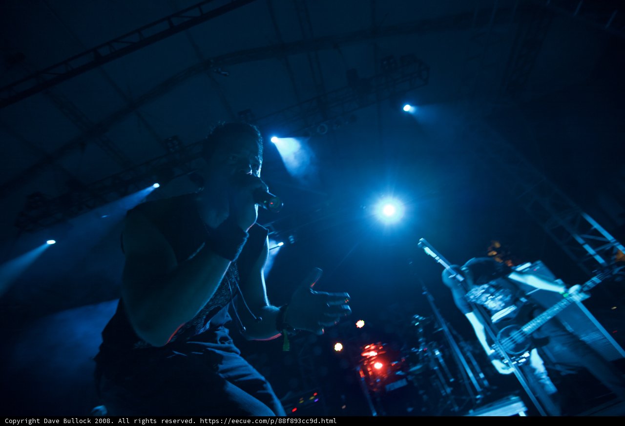 Rocking Out at Coachella