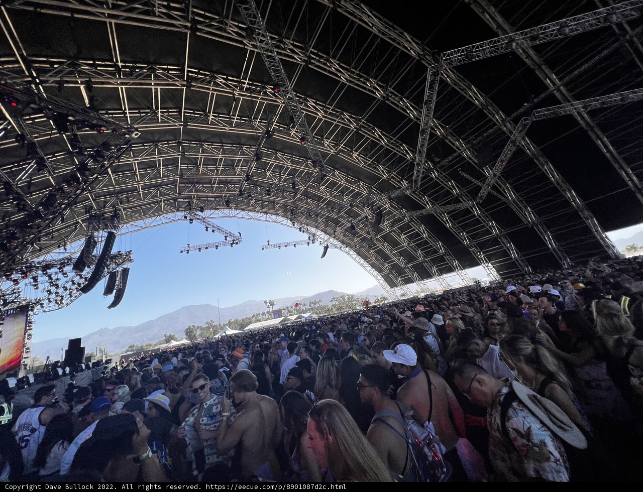Elevated Vibes