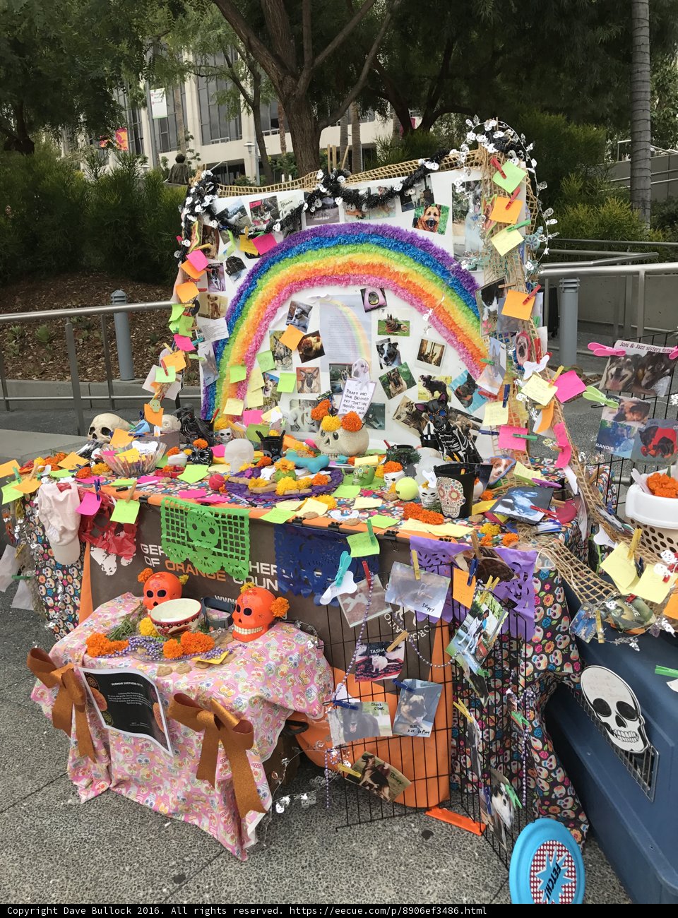 Table of Treasures