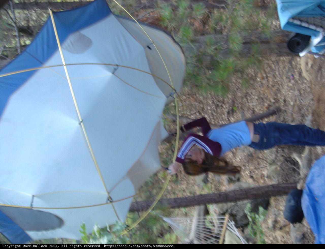 Setting Up Camp in the Forest Wilderness
