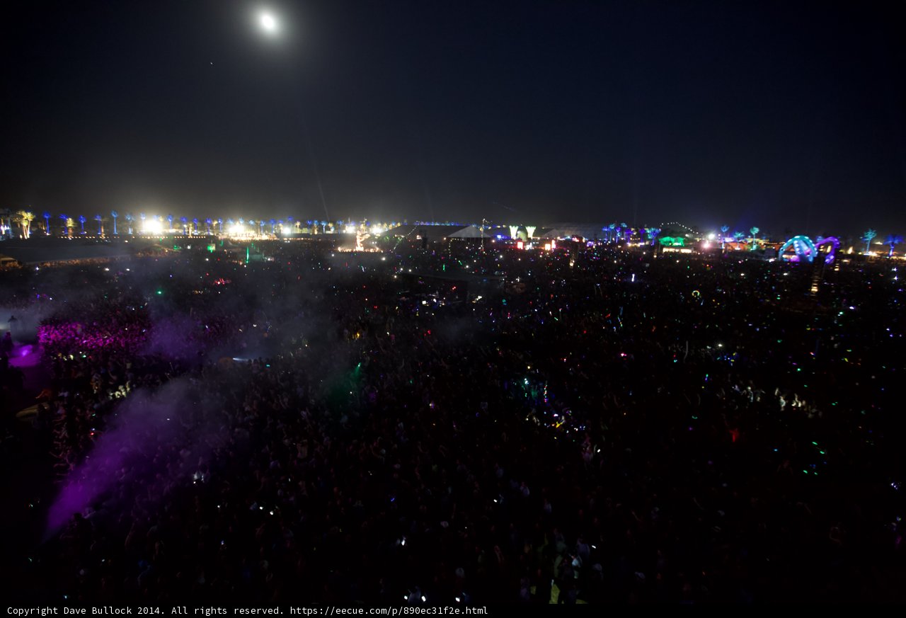 Night Under the Moon