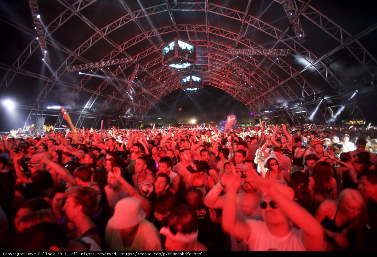 The Electric Crowd at Coachella
