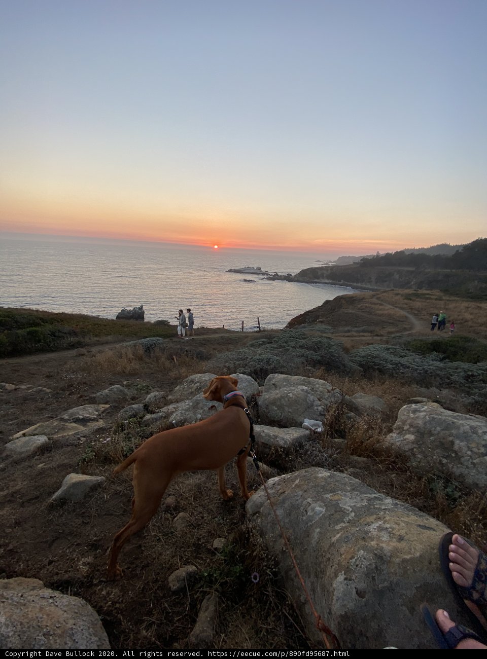 Overlooking the Pacific Ocean