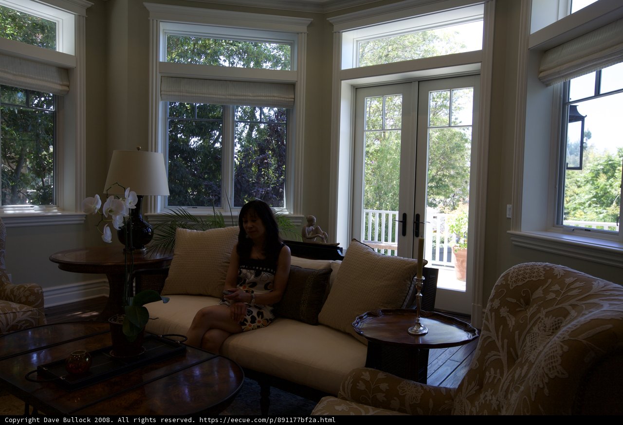 Relaxing in the Living Room