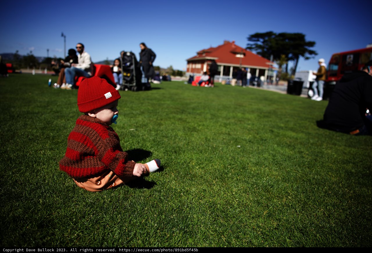 A Day in the Park