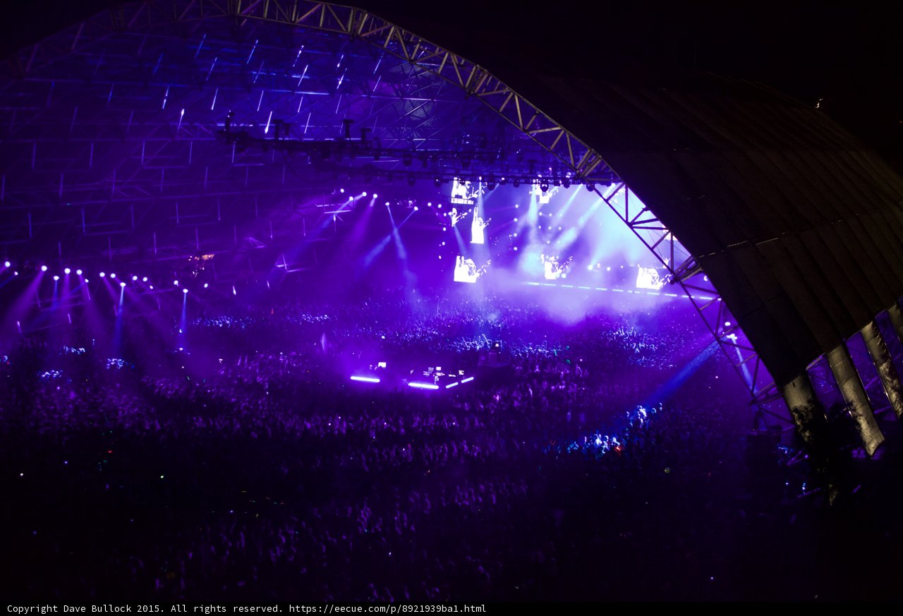 Purple Haze at Coachella