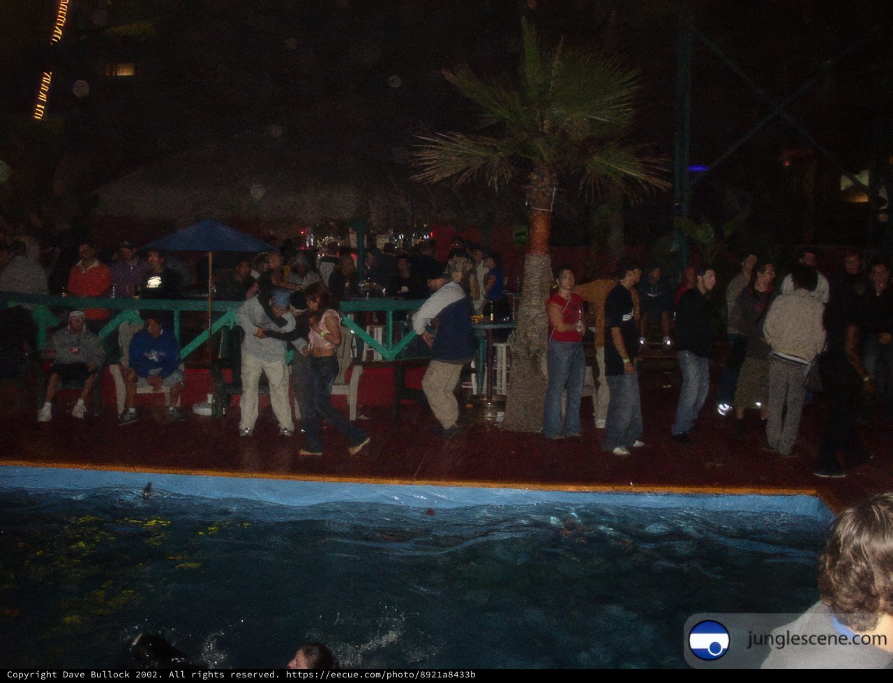 Night Club Pool Party in Ensenada