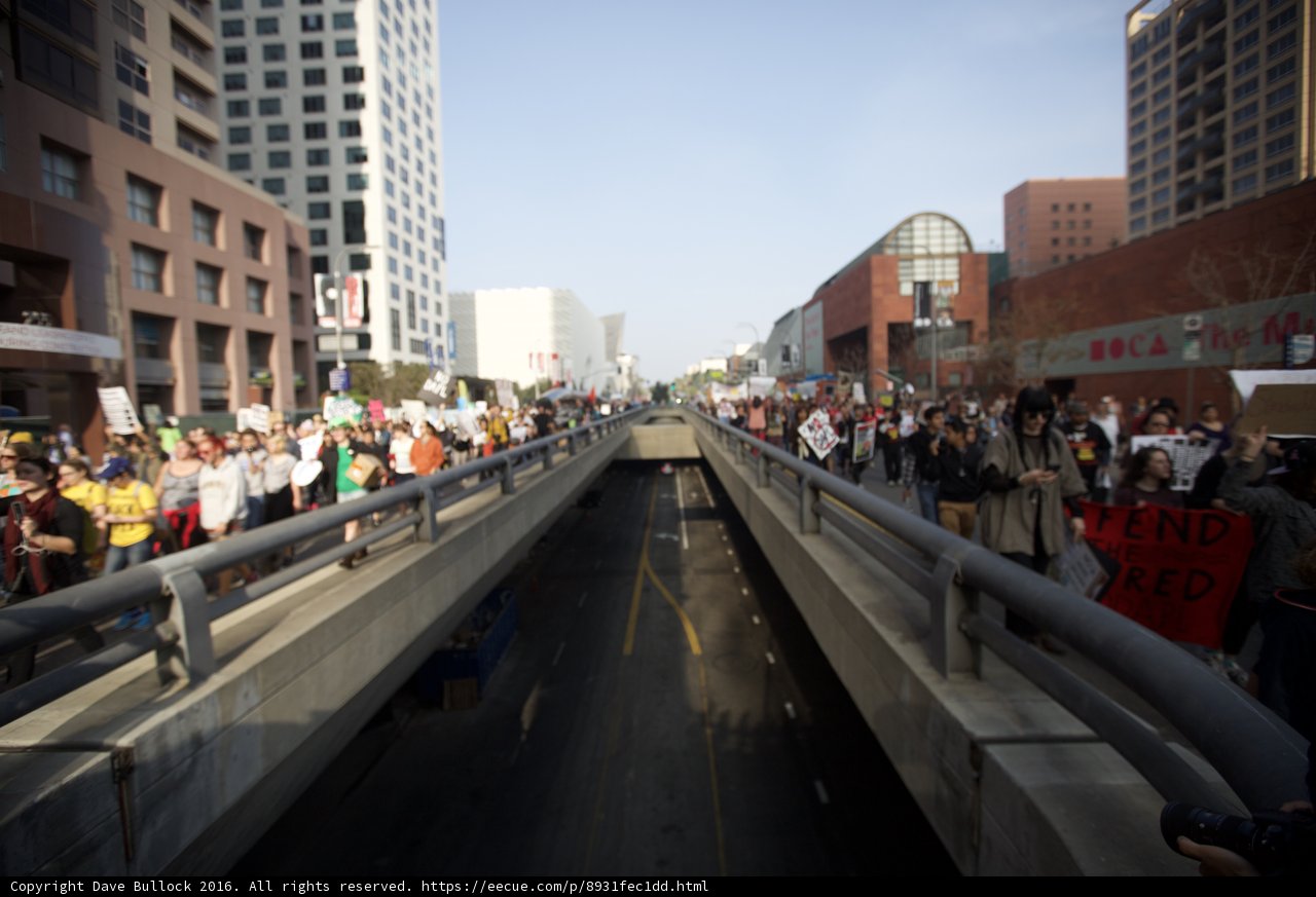 Urban Crowd on a Metropolis Bridge
