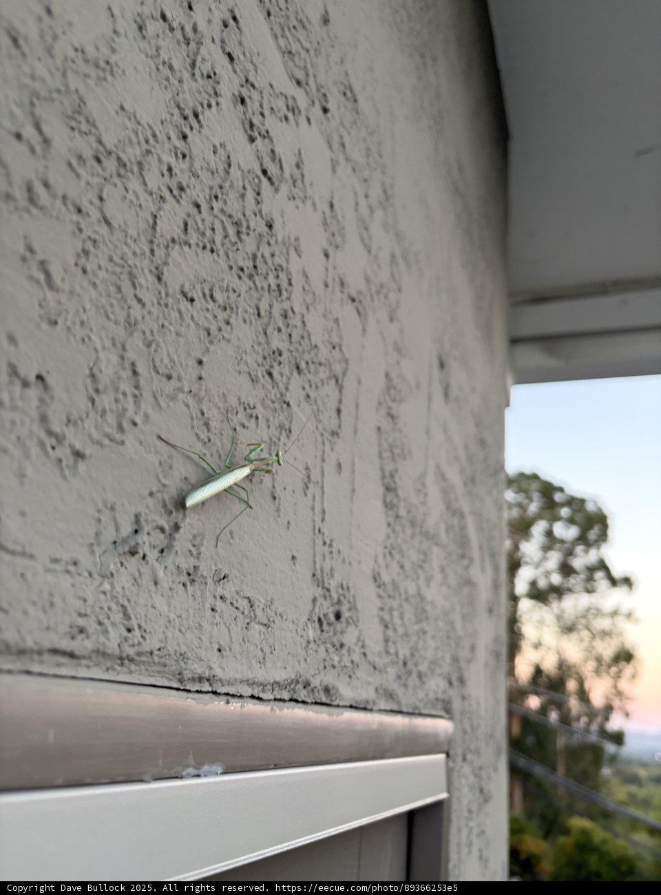 Urban Encounter