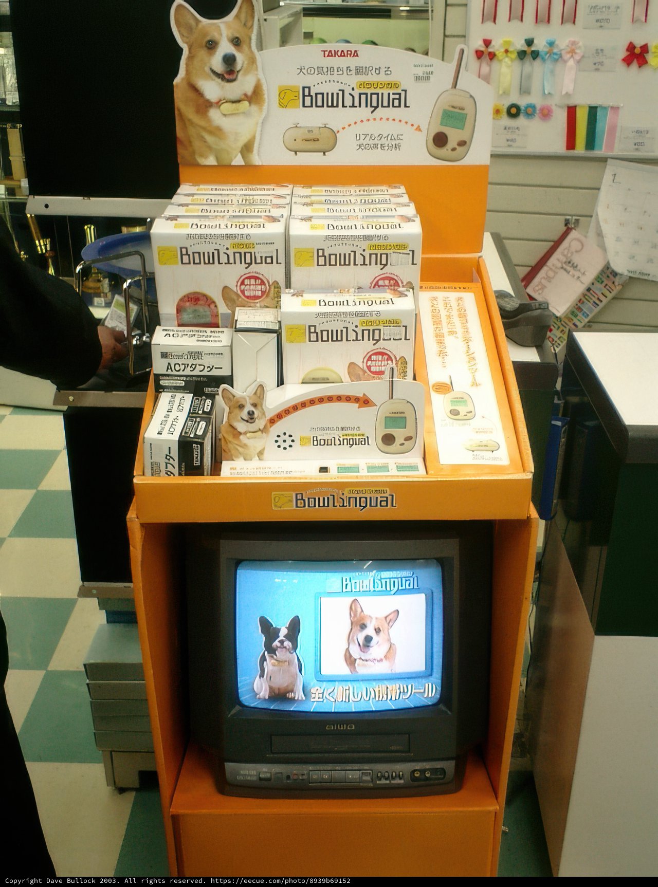 Furry Friends on TV