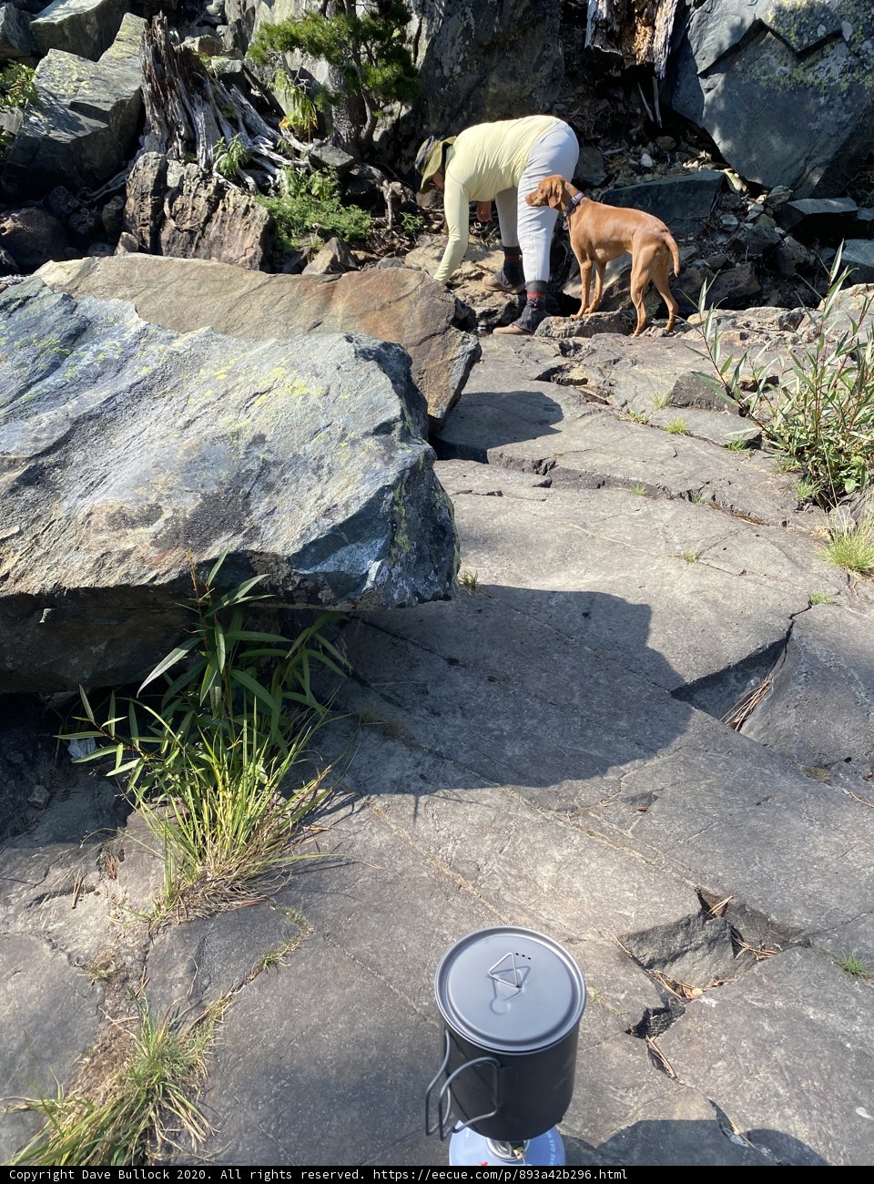 A Walk in the Wilderness