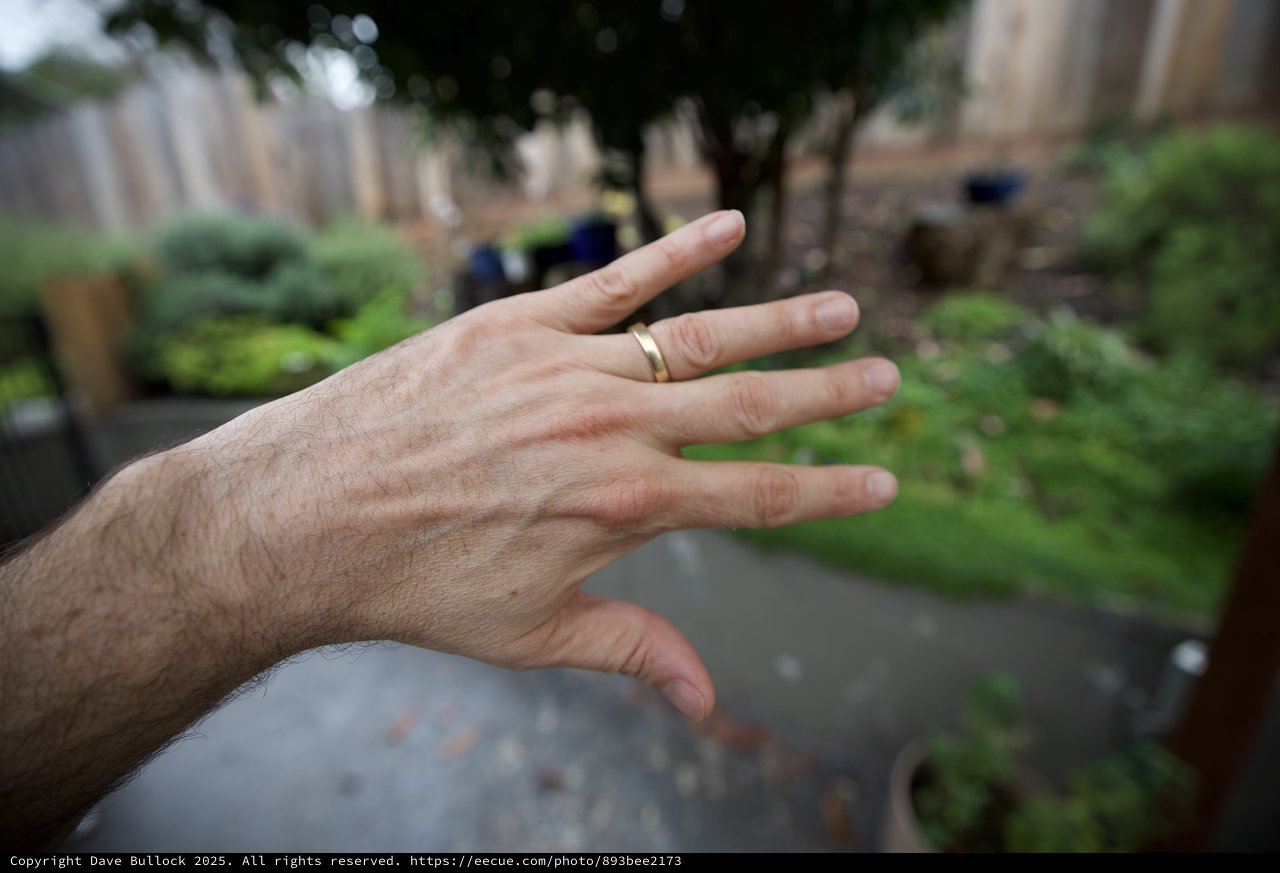 Hand with Wedding Ring in Garden Setting