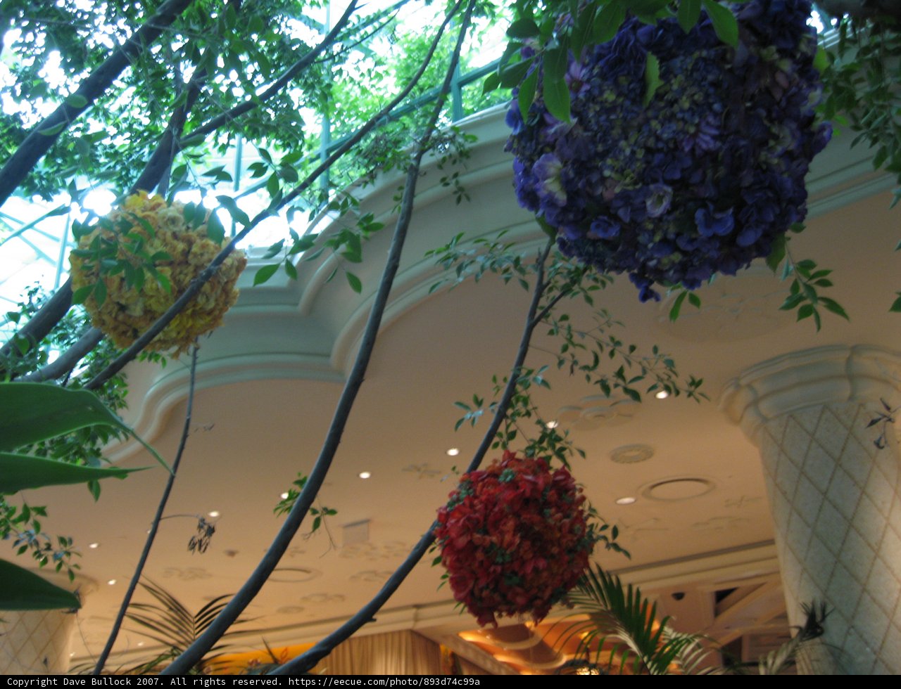 Hanging Garden