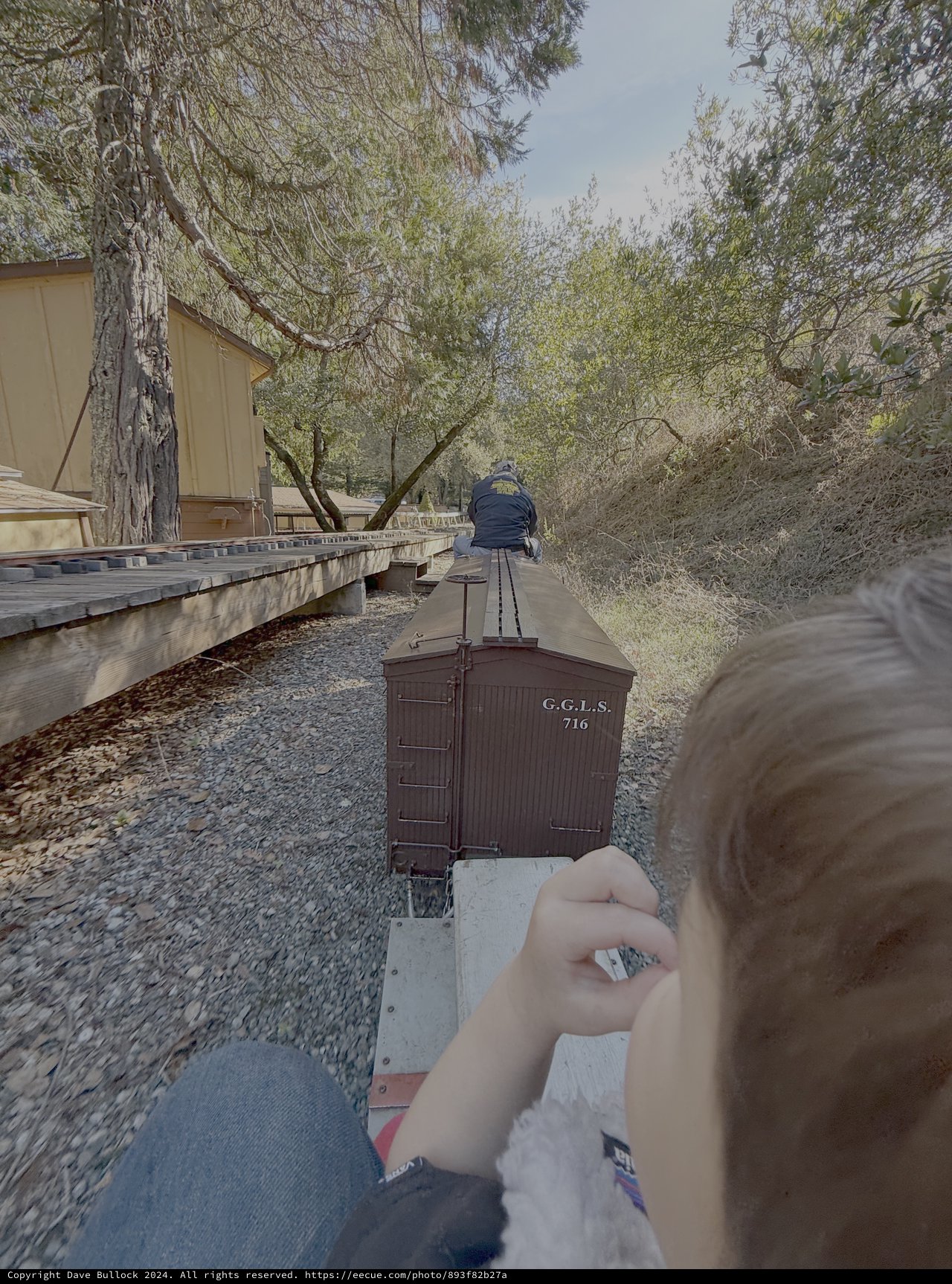 Narrow Gauge Railway Journey Through Trees