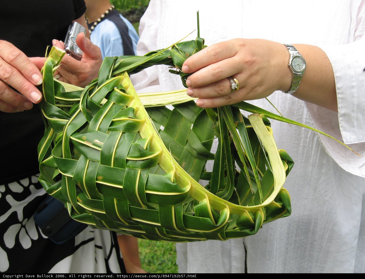 Basket of Leaves