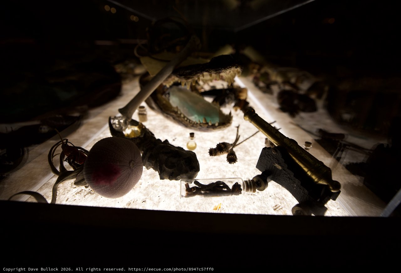 Illuminated Archaeological Artifacts and Natural Specimens Display