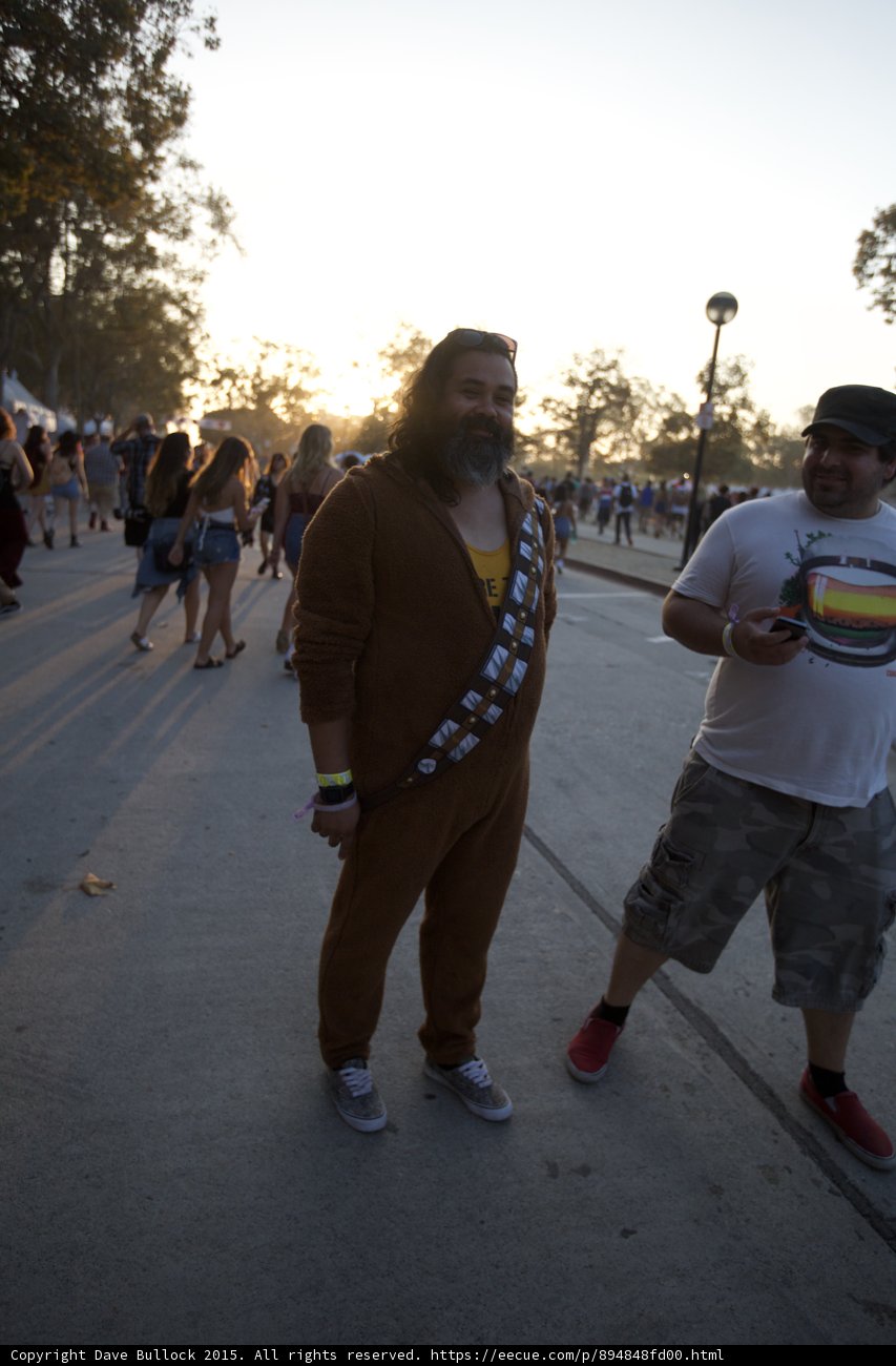 Chewbacca Onesie Festival