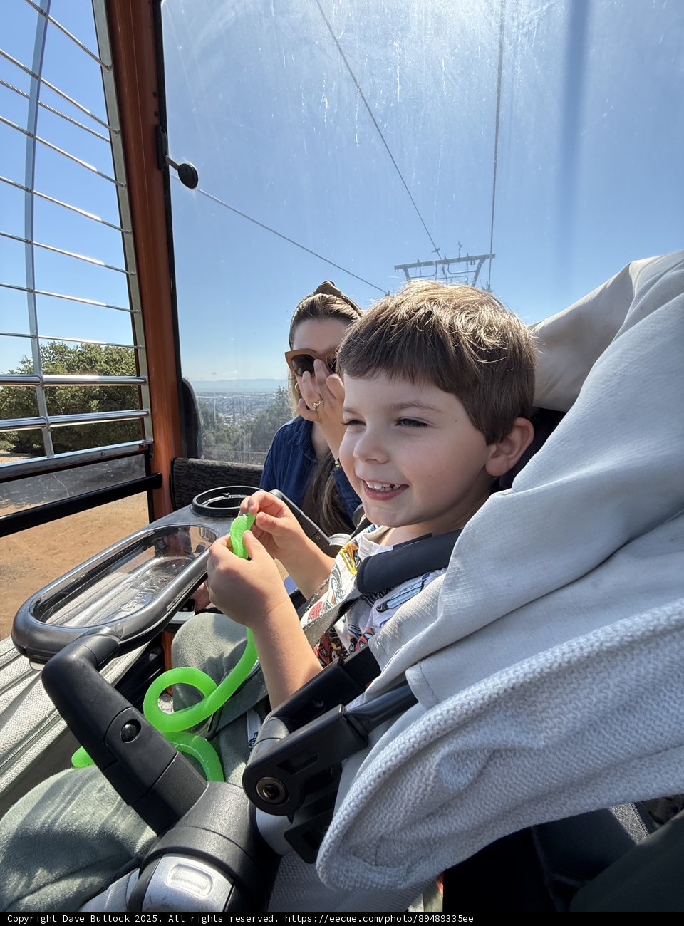 Joyful Moments at the Zoo