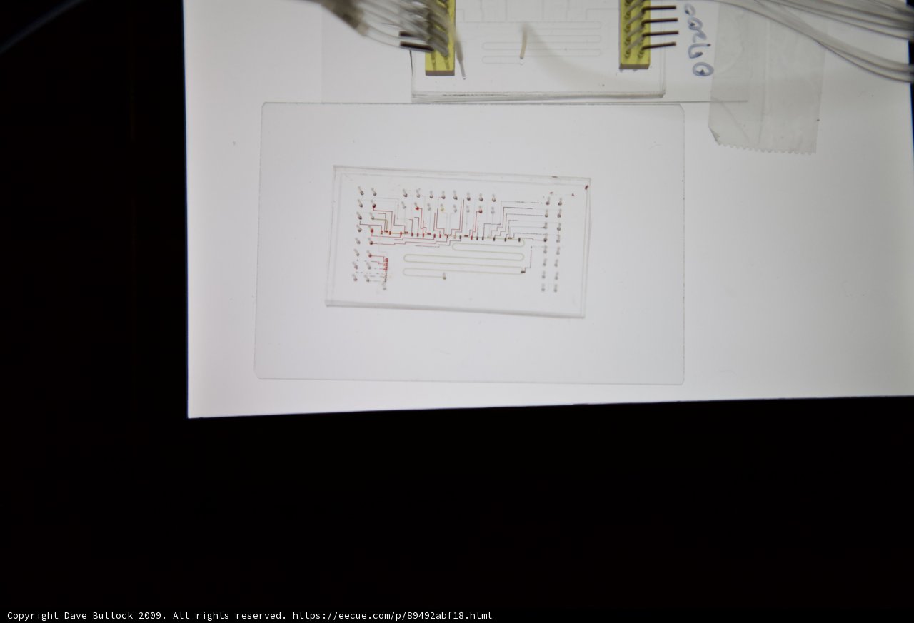 Illuminated Page