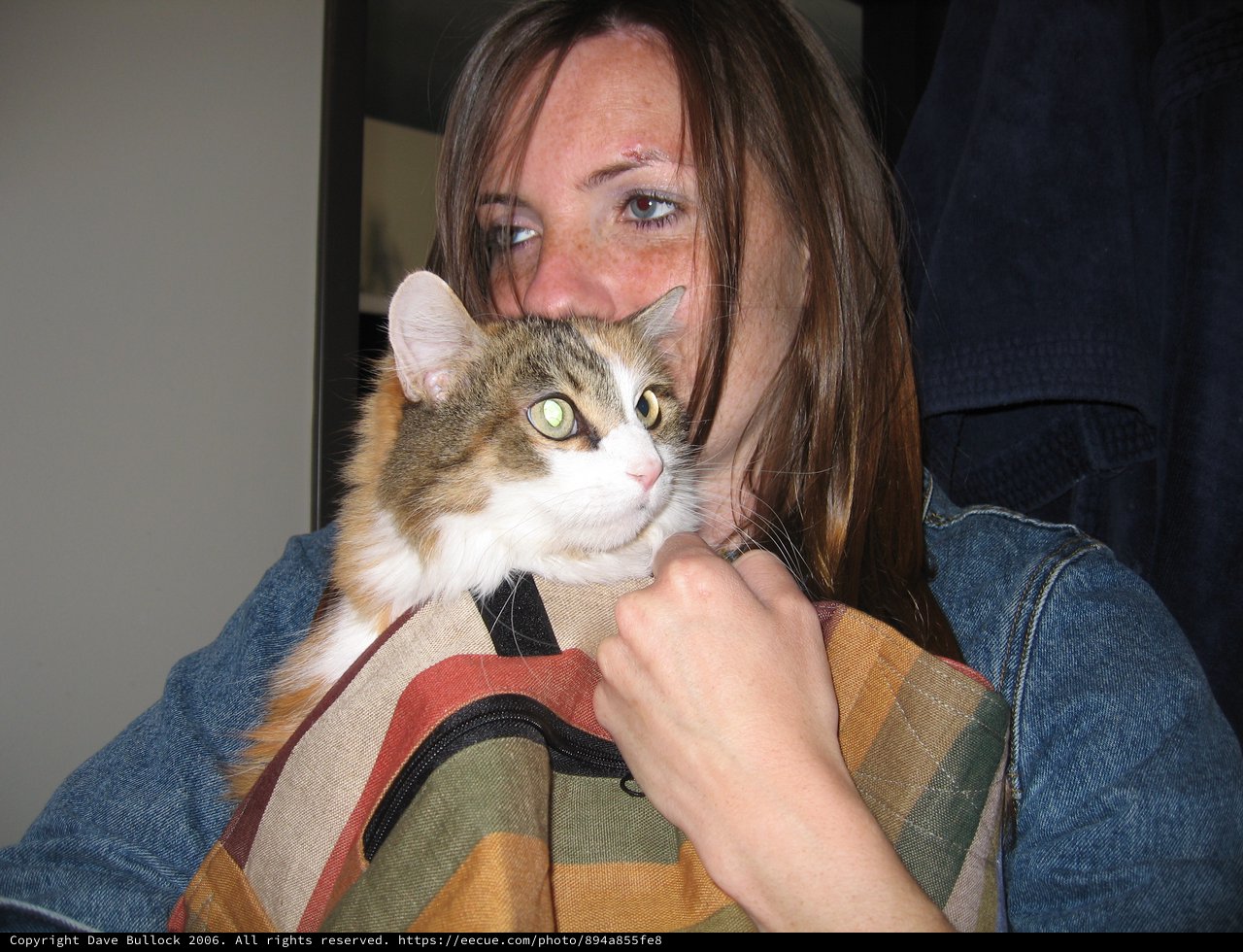 Woman Snuggles Fluffy Tabby Cat Indoors