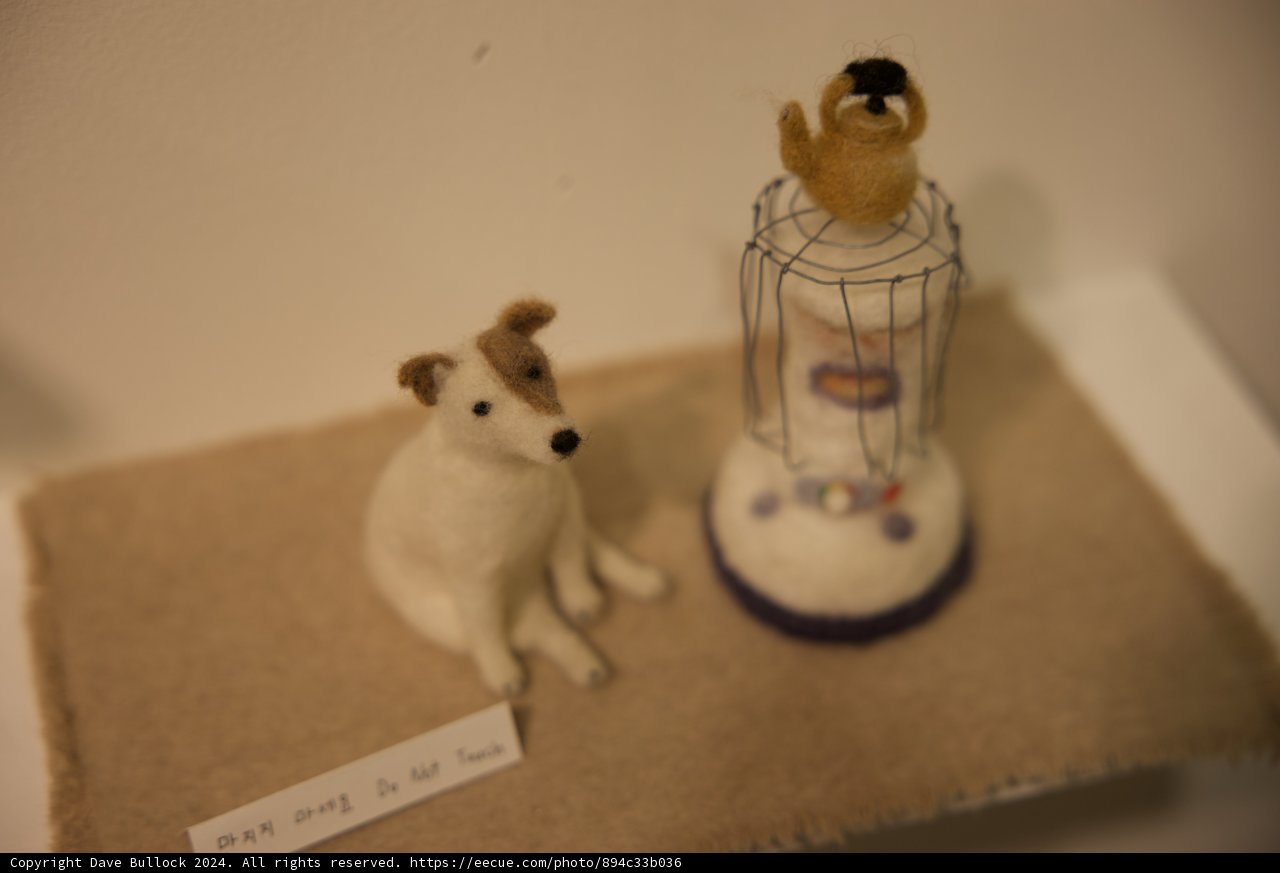 Frosty Moments: Canine and Avian Encounter