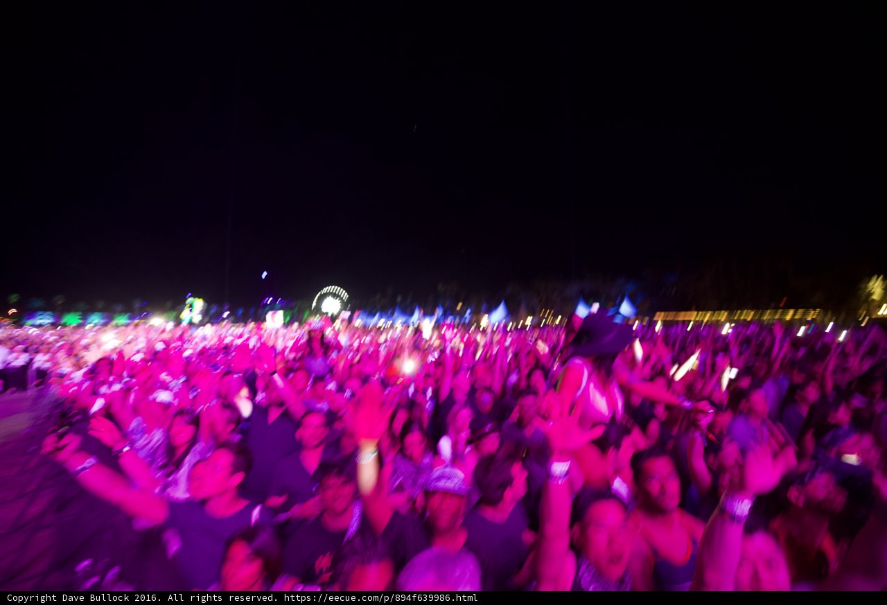 Electric Nights at Coachella