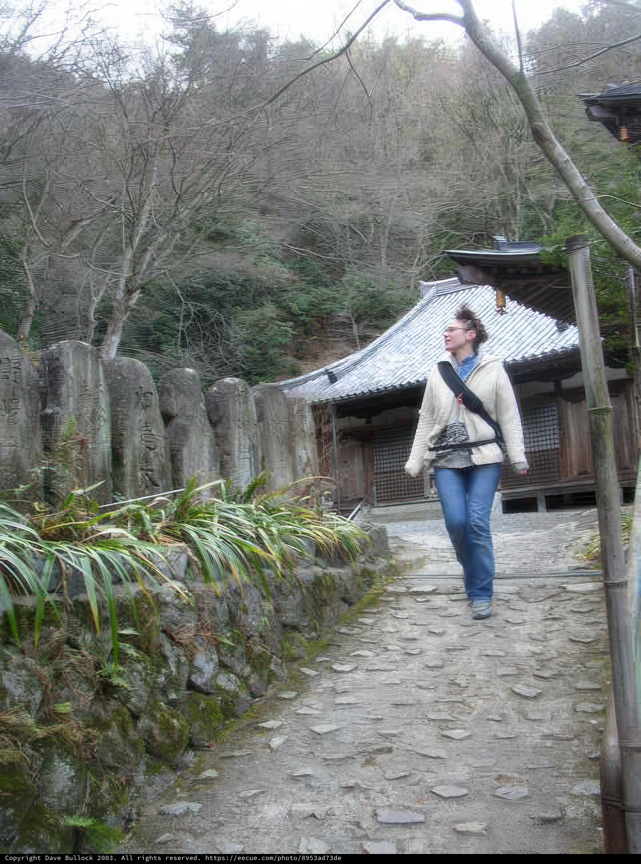 Walking Through History