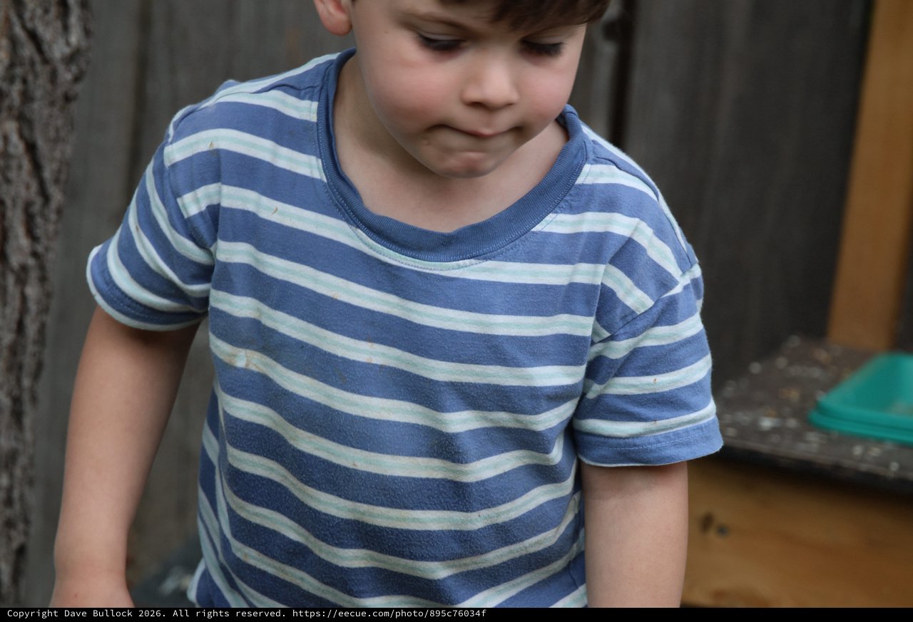 Young Child in Striped Shirt Looking Down Outdoors