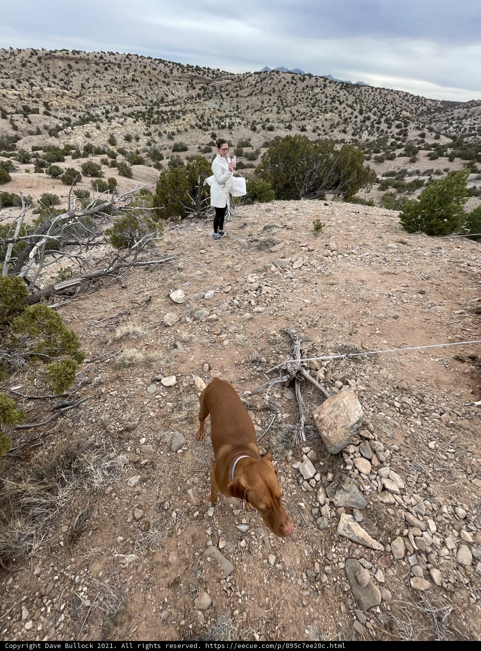 A Wilderness Walk With My Furry Friend