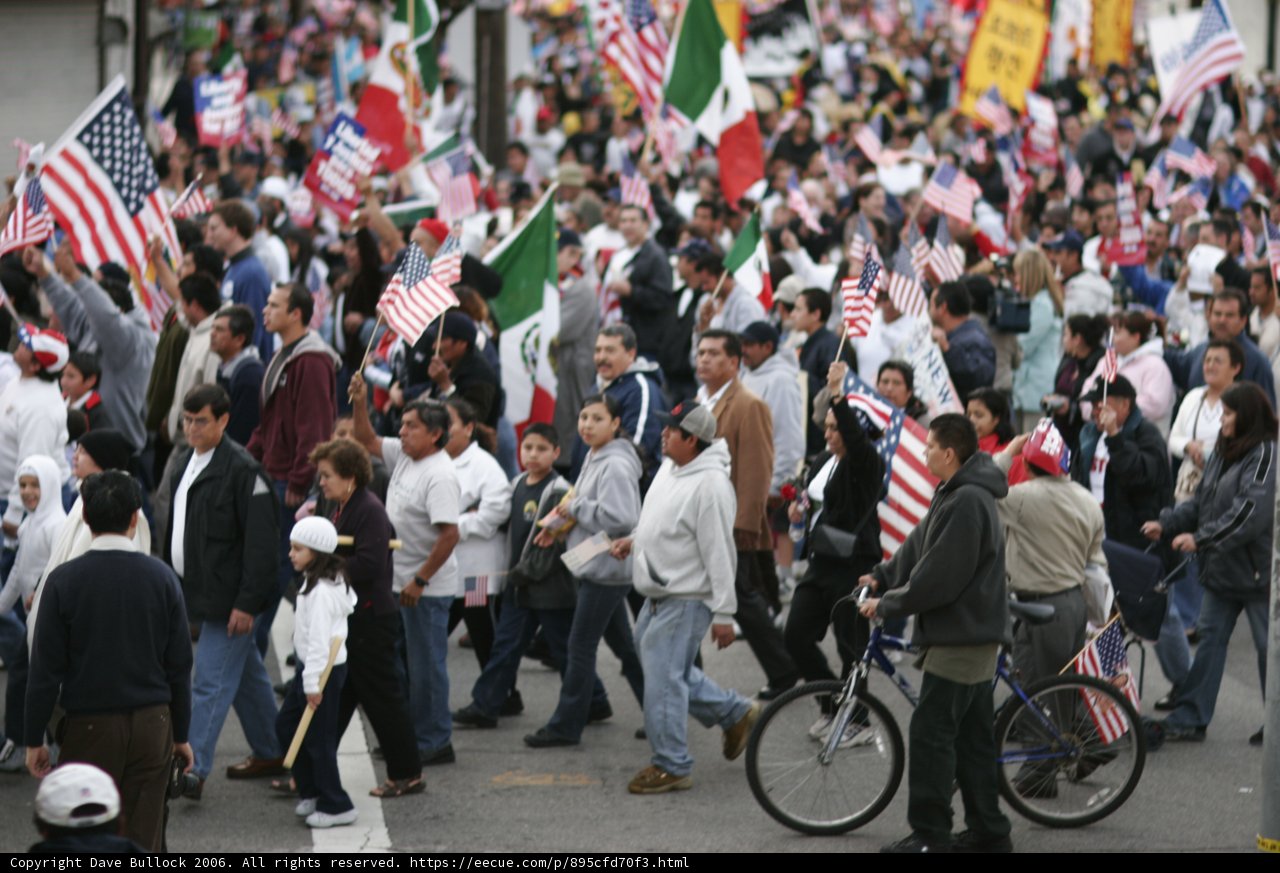 Patriotic Crowd