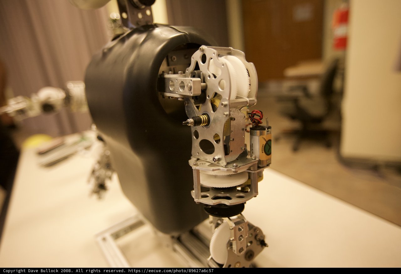 Black and White Robot