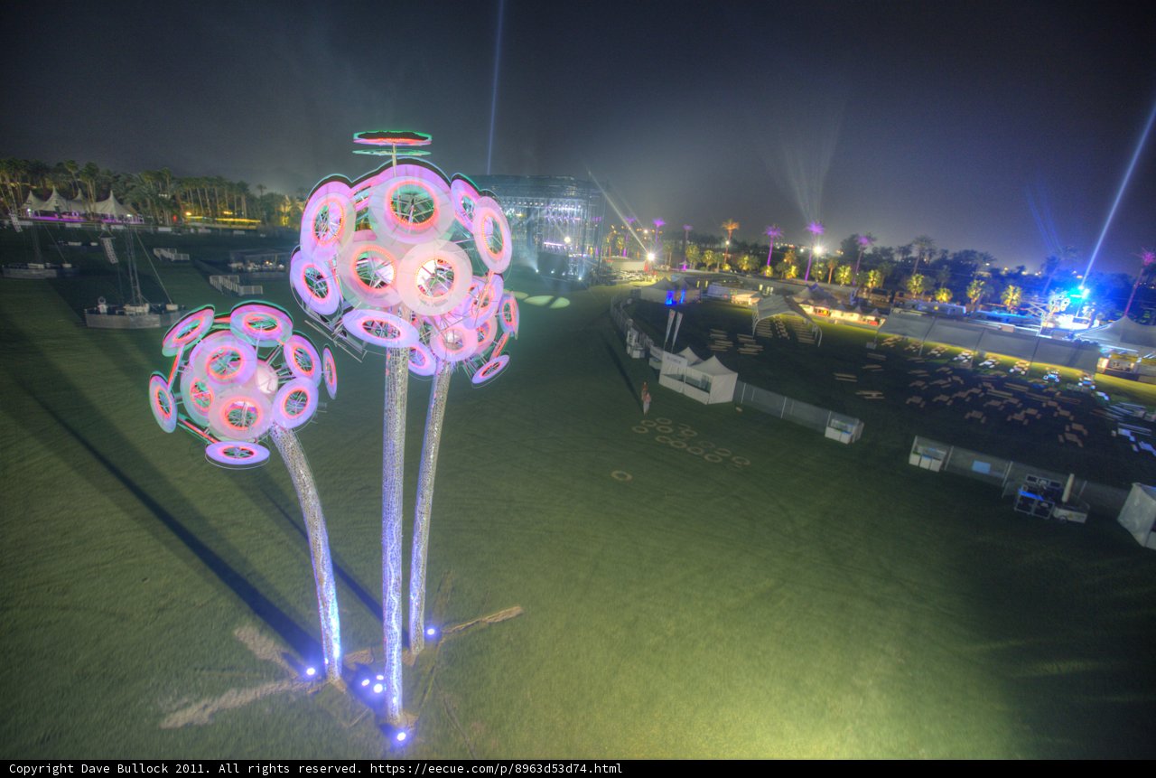 Field of Lights