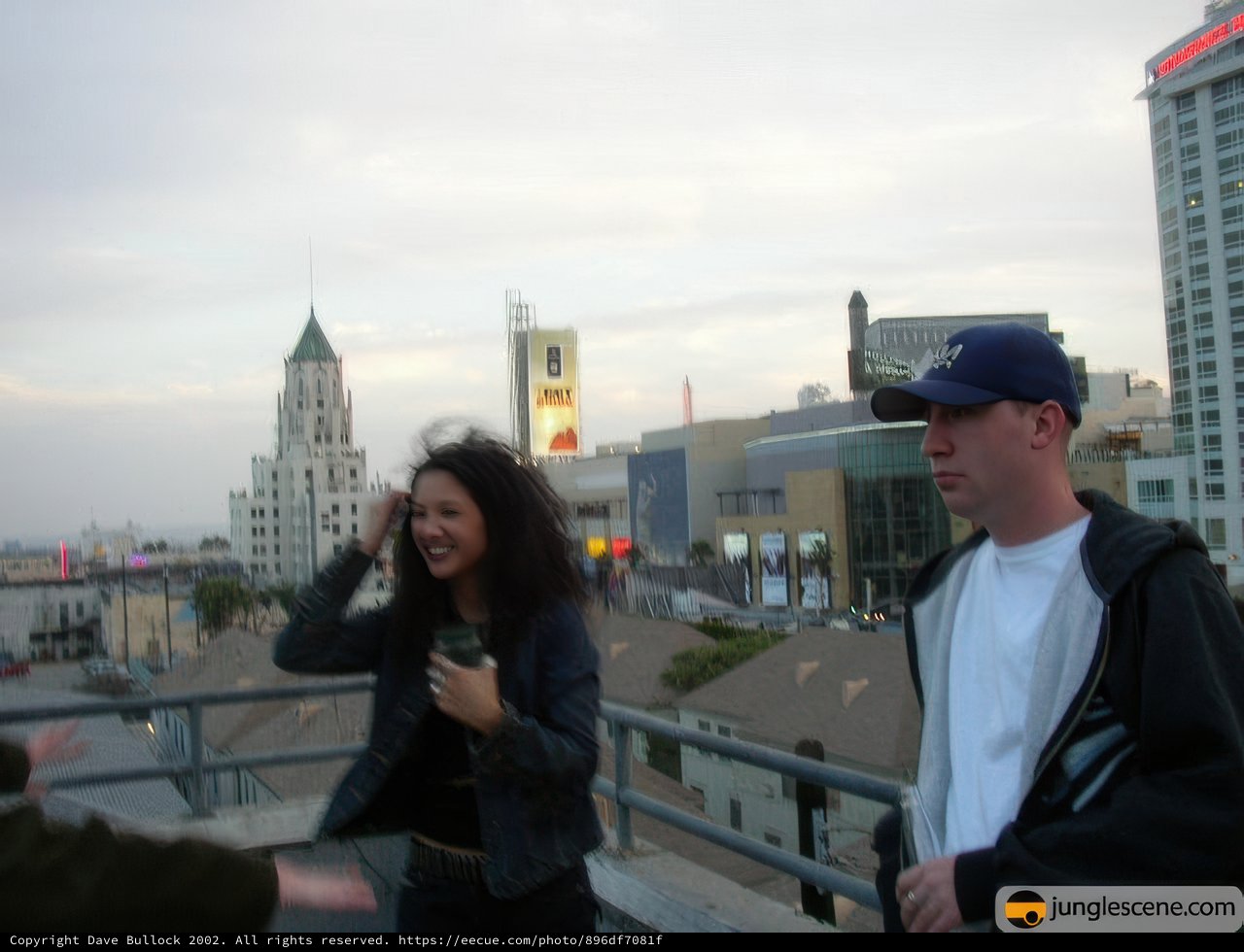 Rooftop View of the Metropolis