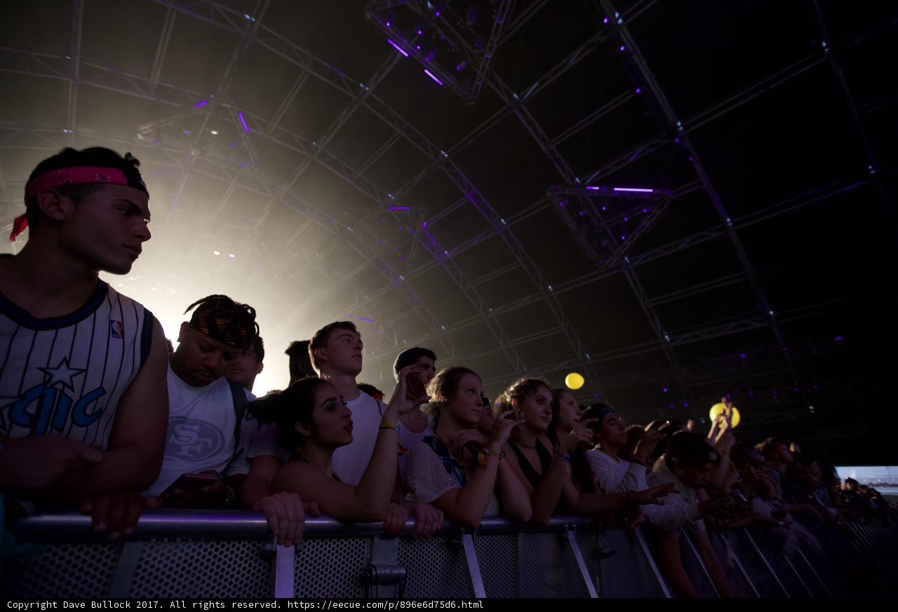 Electric Crowd at Coachella