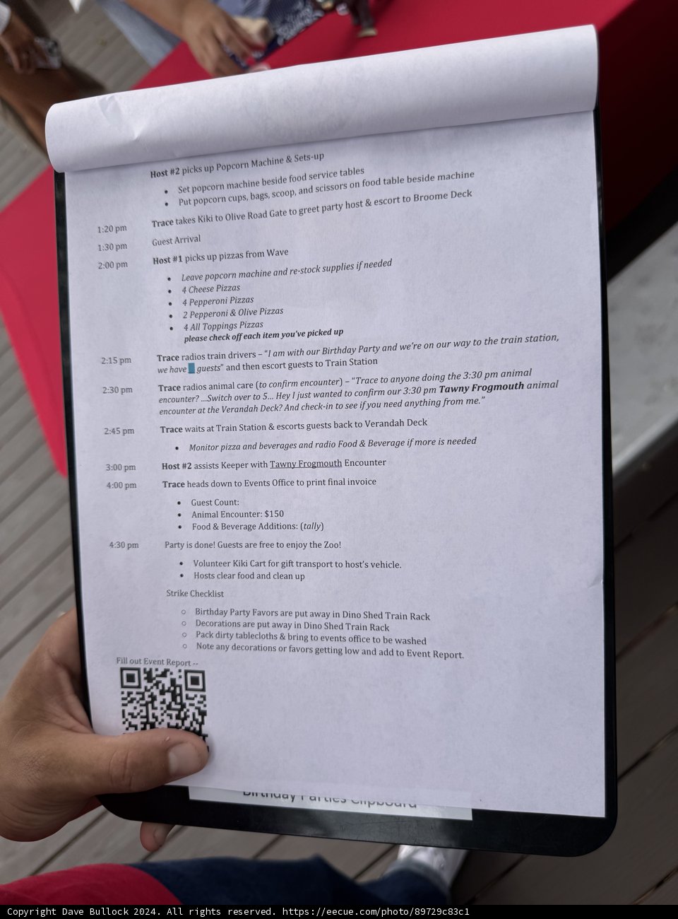 Behind the Scenes of a Zoo Birthday Party