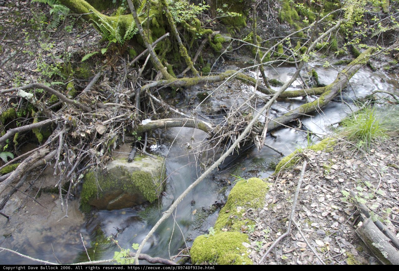 Serenity Stream