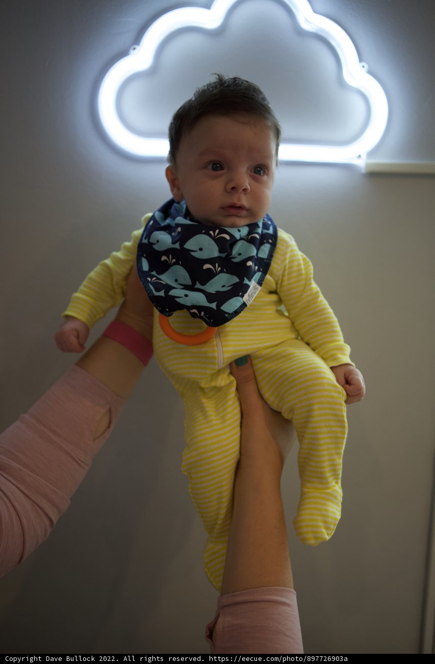Neon Dreams with Baby Wesley