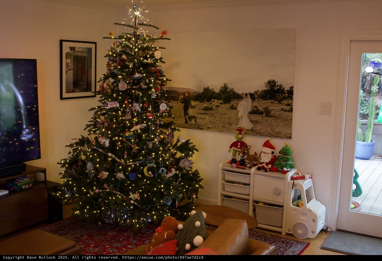 Festive Christmas Tree in Cozy Family Living Room
