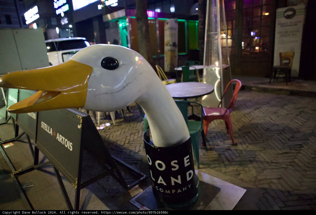 Unusual Artistry in Seoul: The Quirky Duck-Head Sculpture 