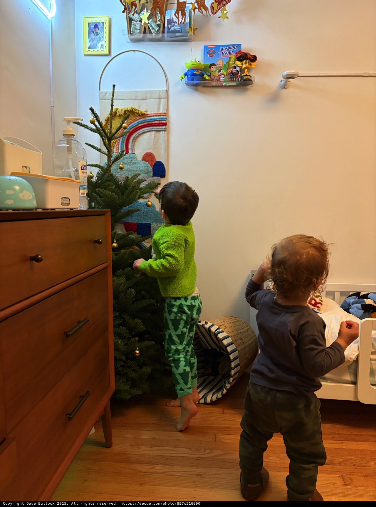 Two Young Children Decorating Christmas Tree Together