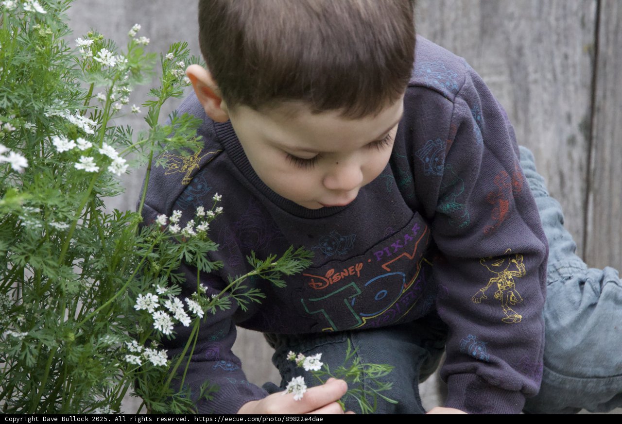 Nature's Curious Explorer