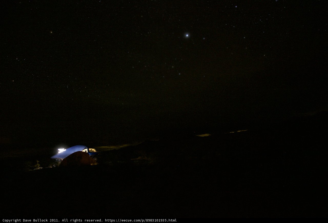 Under the Starlit Sky