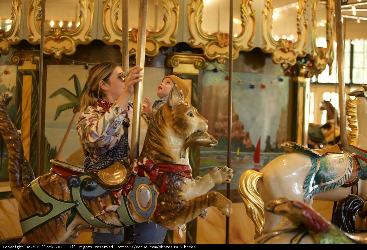 Chasing Childhood Memories: Lori's Carousel Ride